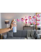 Désodorisants et parfums d’ambiance